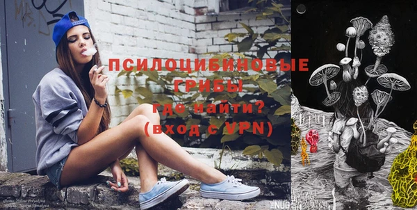 ГАЛЛЮЦИНОГЕННЫЕ ГРИБЫ Алексеевка