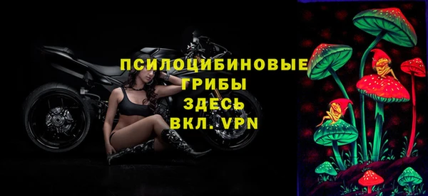 бошки Алзамай